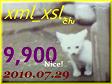 2010.ねこ麻呂 card 9,900 Nice! xml_xsl さん。1.jpg