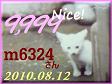 2010.ねこ麻呂 card 9,999 Nice! m6324 さん。1.jpg